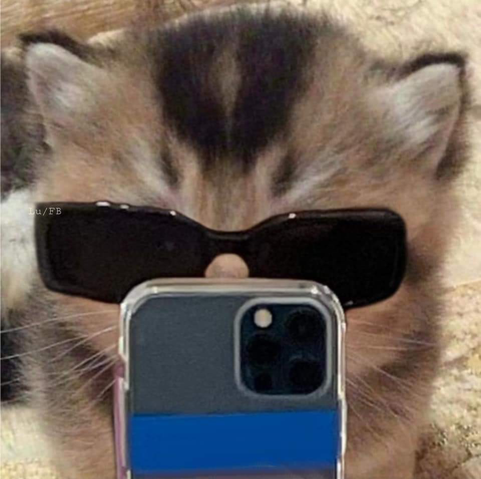 관심 유저 프로필 이미지