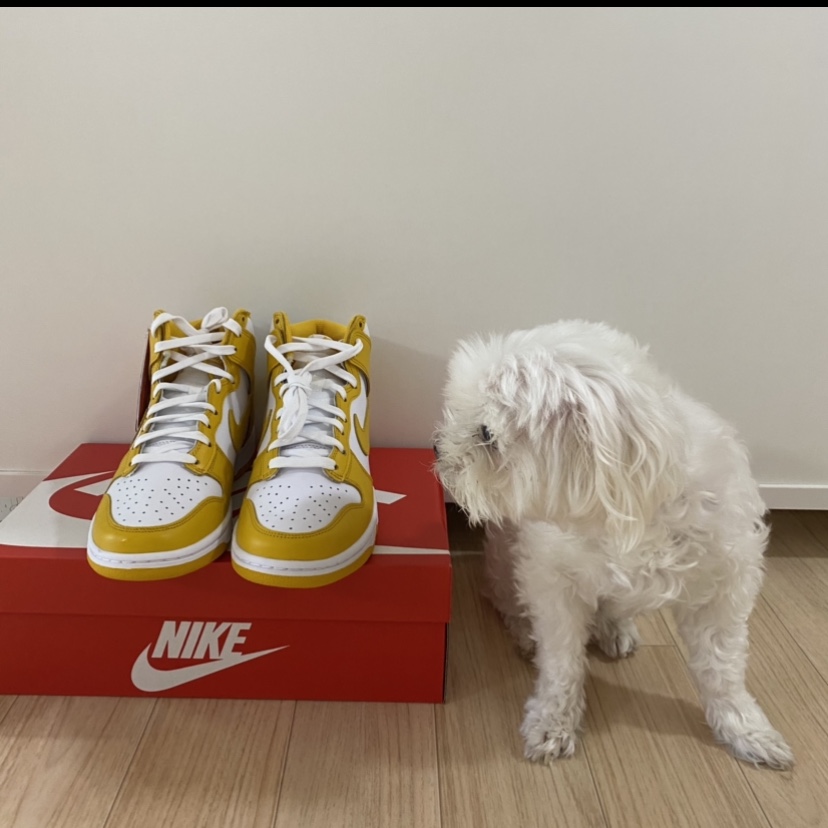 (W) Nike Dunk High Dark Sulfur 착용 스타일