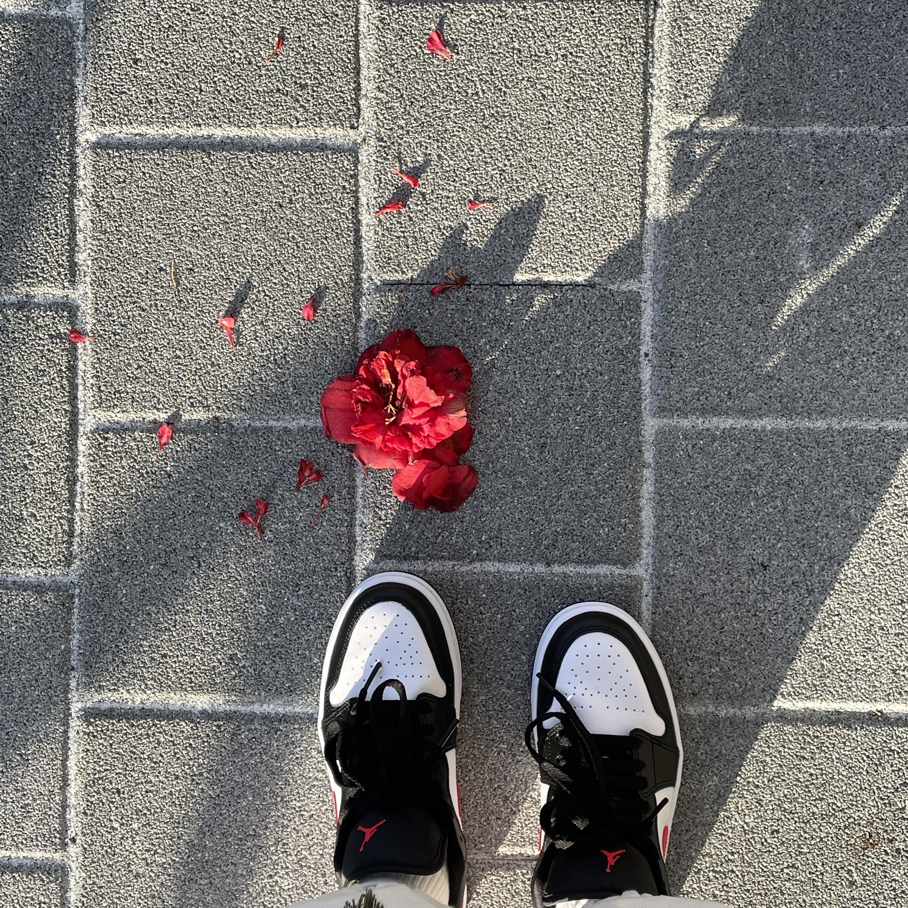 (W) Jordan 1 Low Black Siren Red 착용 스타일 - 3