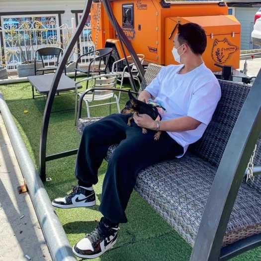 스타일 카드