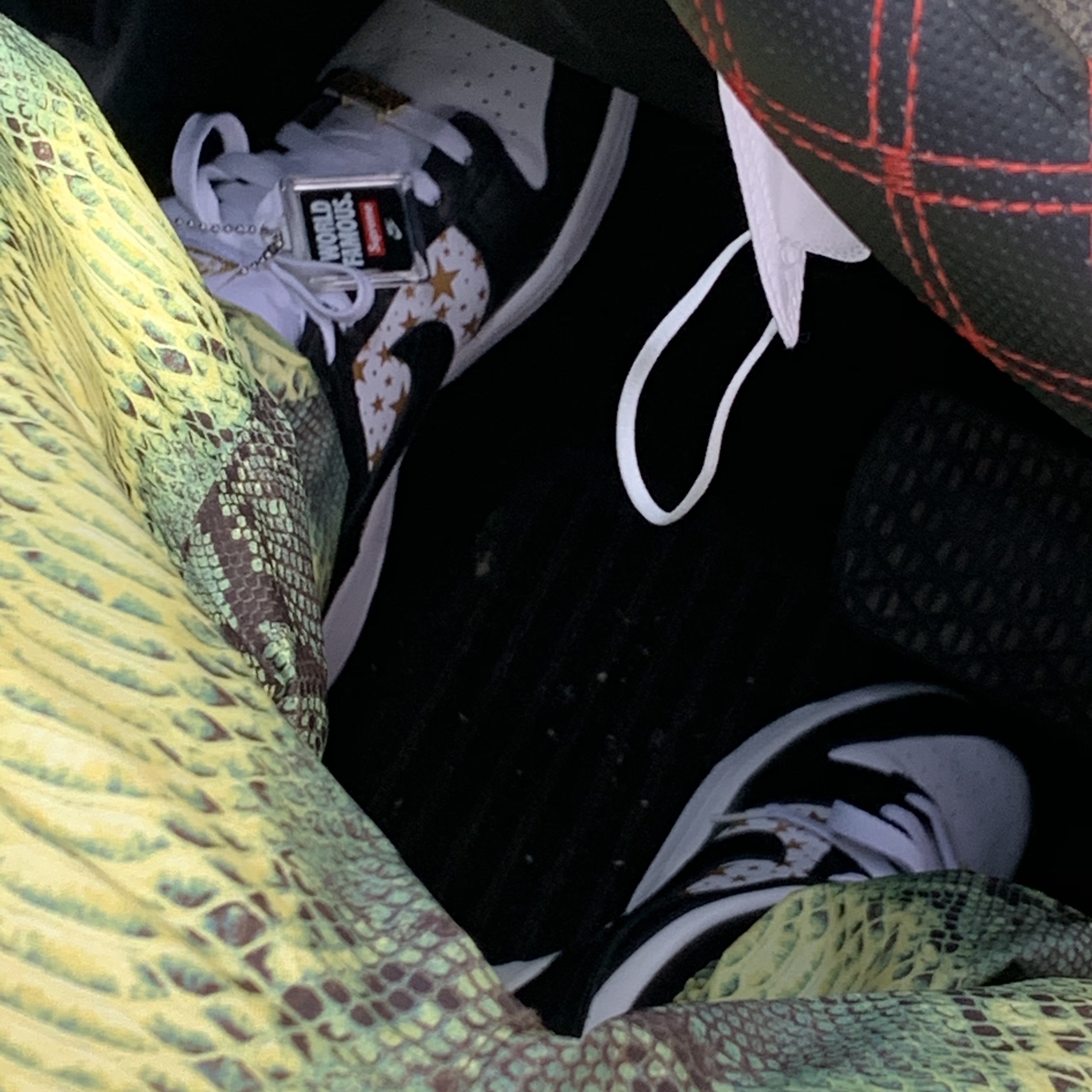 Nike x Supreme SB Dunk Low Black, Supreme x The North Face Snakeskin Taped Seam Coaches Jacket Green - 18SS 착용 스타일