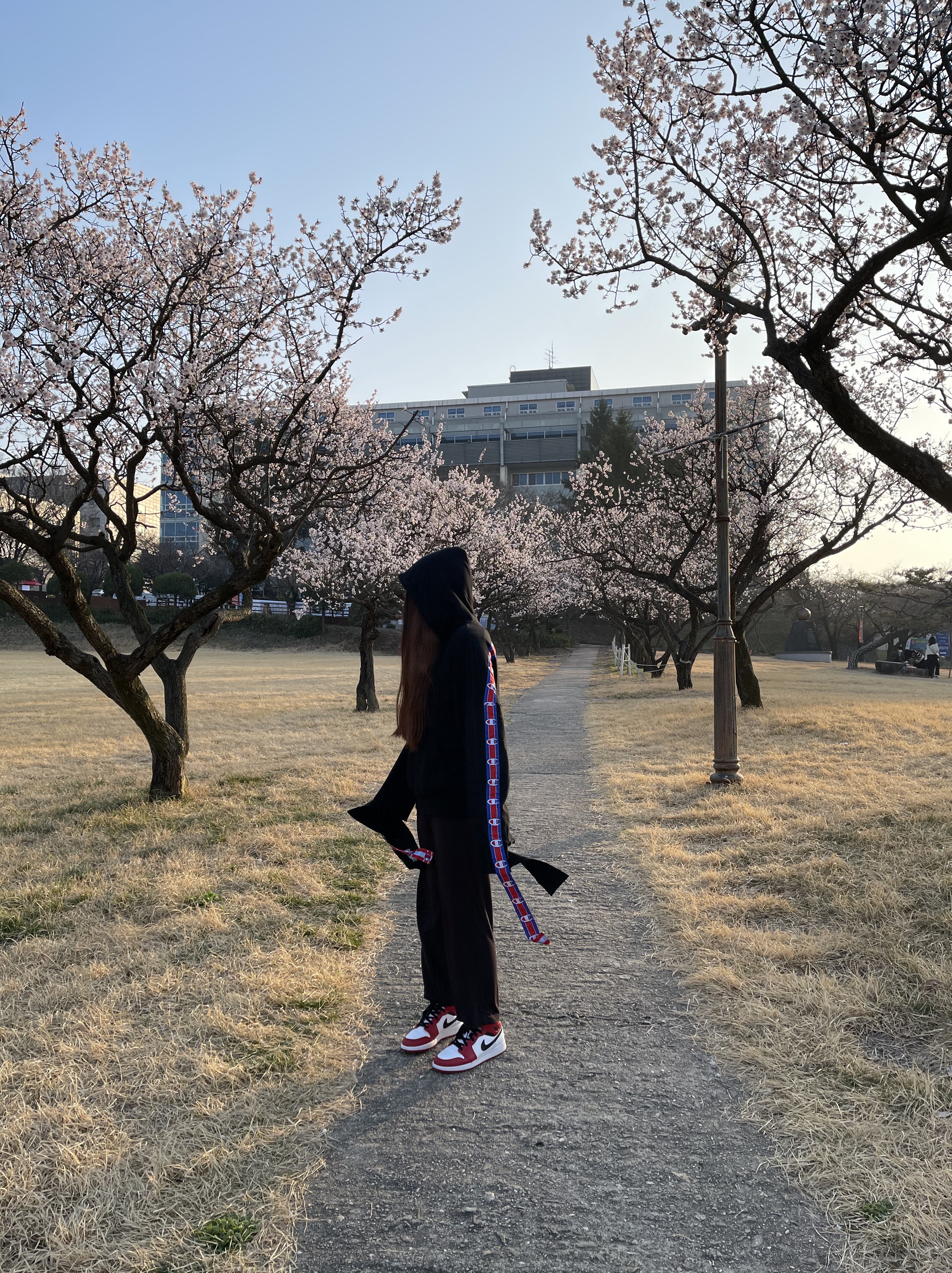 Jordan 1 Mid Chicago 2020 착용 스타일