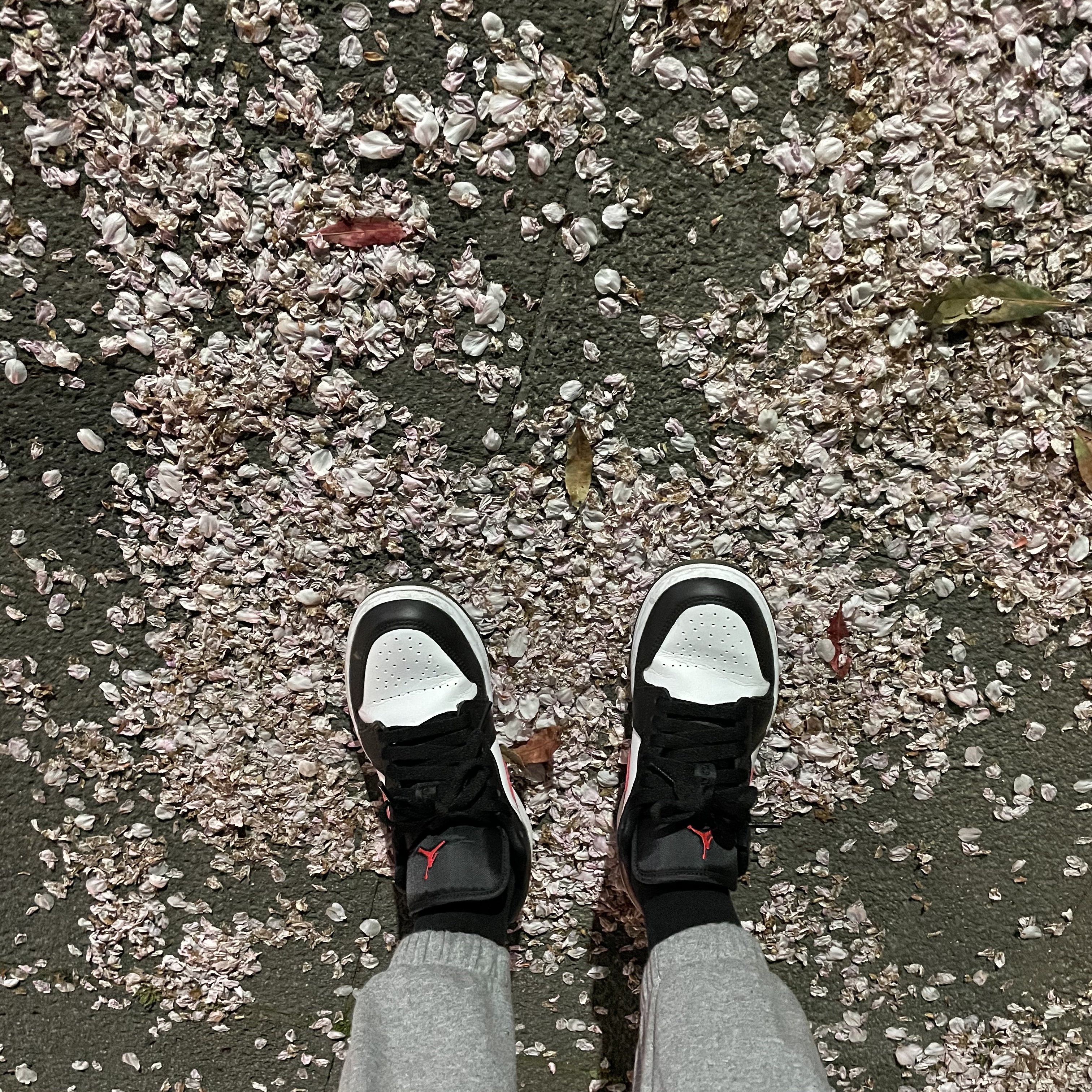 (W) Jordan 1 Low Black Siren Red 착용 스타일