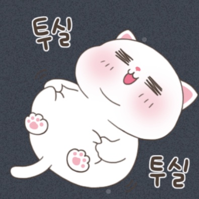 김형태님의 스타일