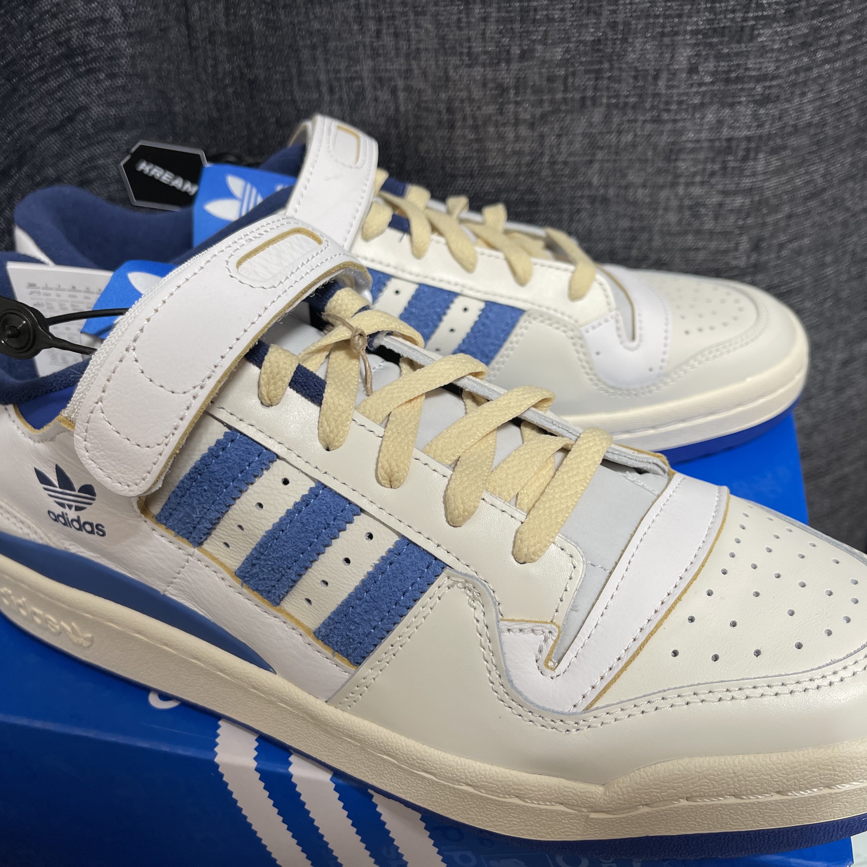 Adidas OG Forum 84 Low Blue Thread 착용 스타일 - 2