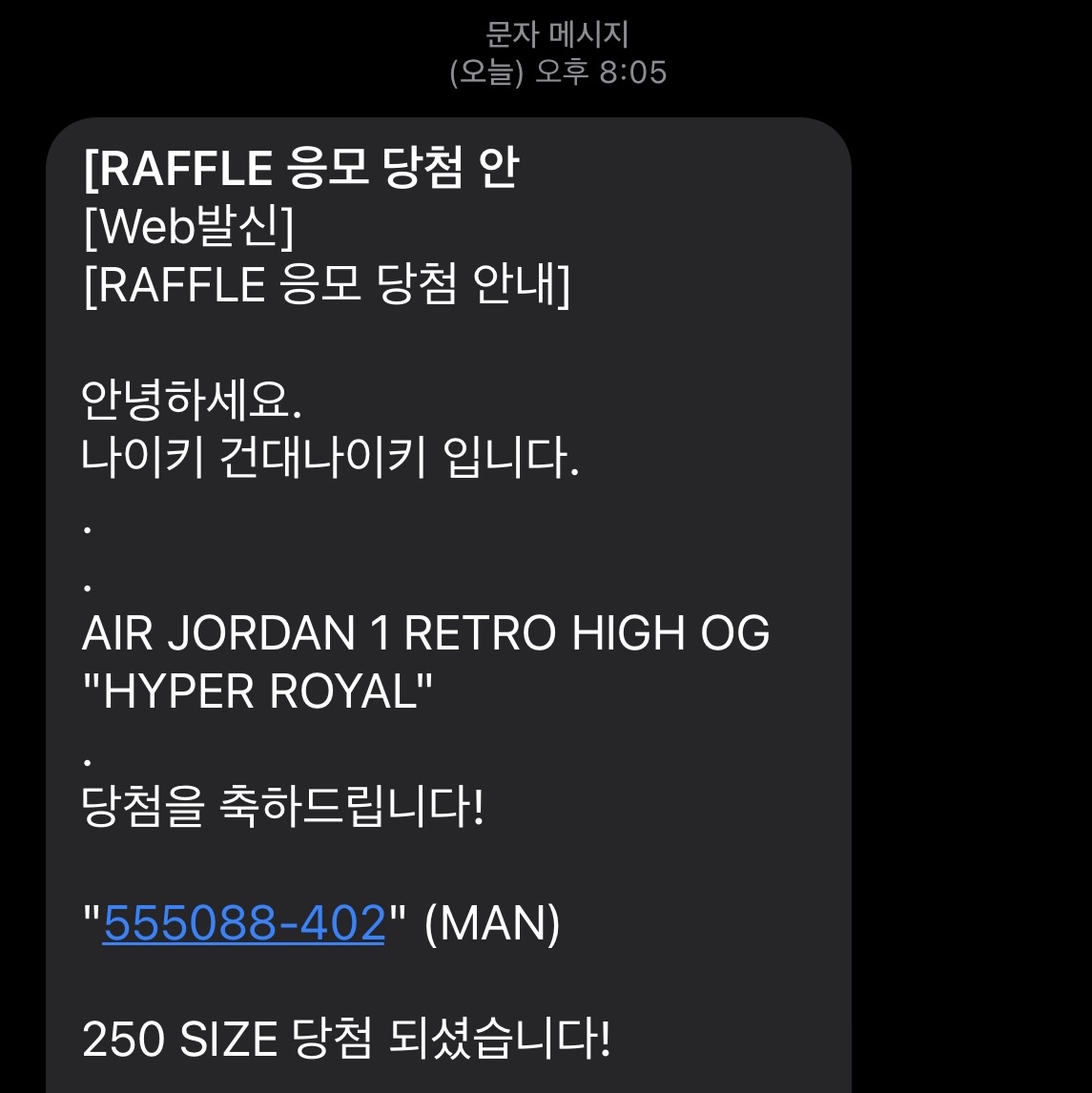 Jordan 1 Retro High OG Hyper Royal 착용 스타일 - 1
