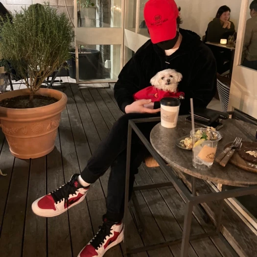 스타일 카드