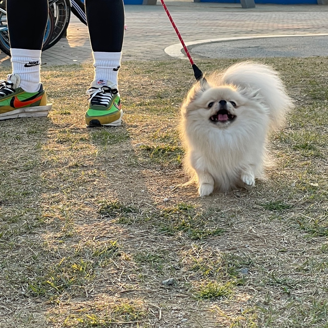 Nike x Sacai LDWaffle Green Multi 착용 스타일 - 2
