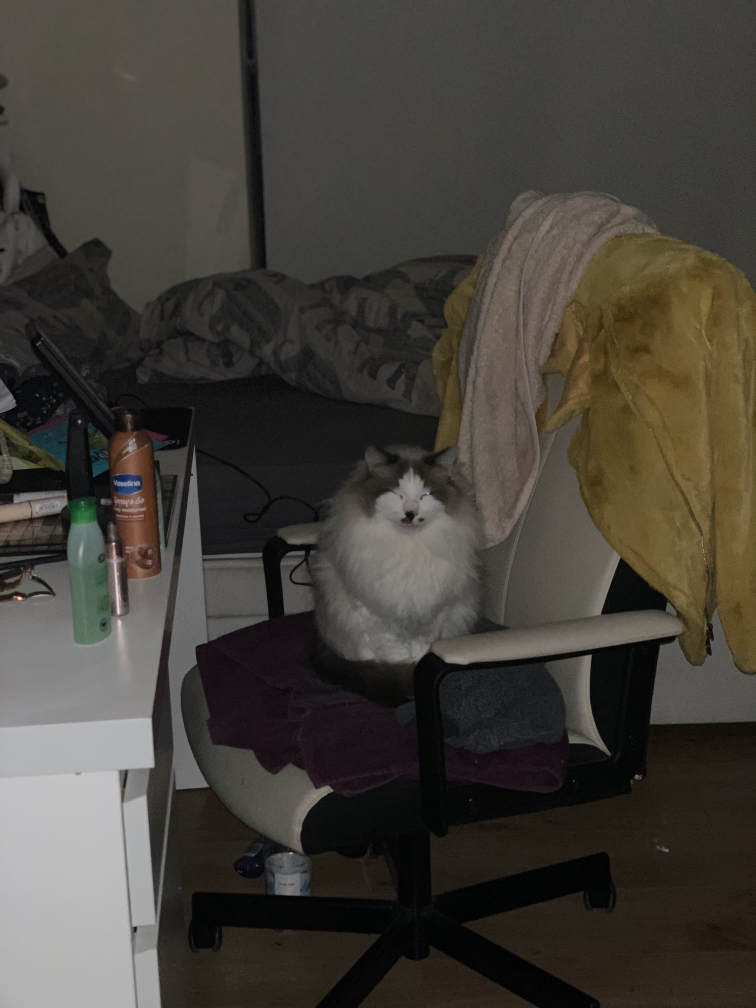 관심 유저 프로필 이미지