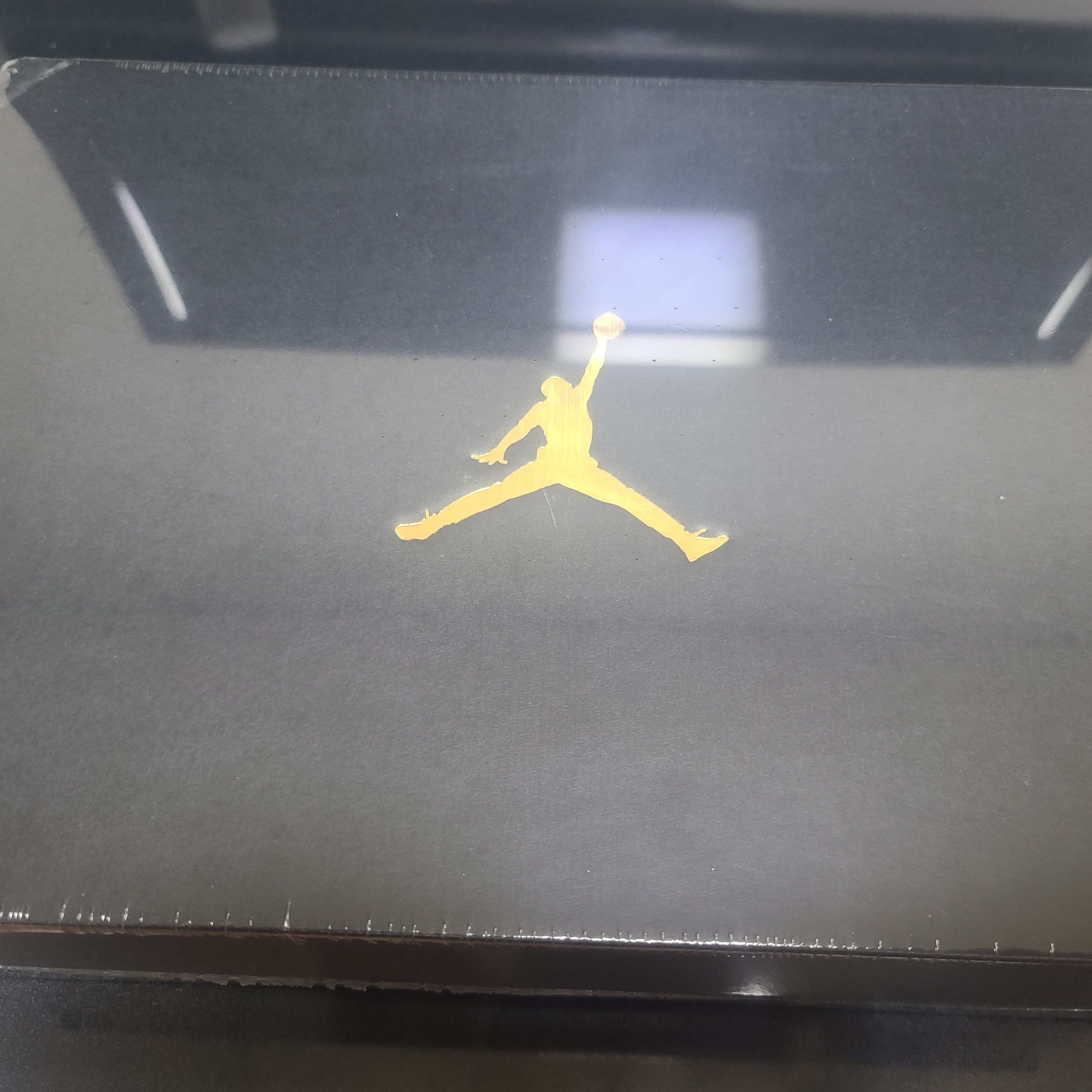 Jordan 11 Retro Low Iridescent 착용 스타일