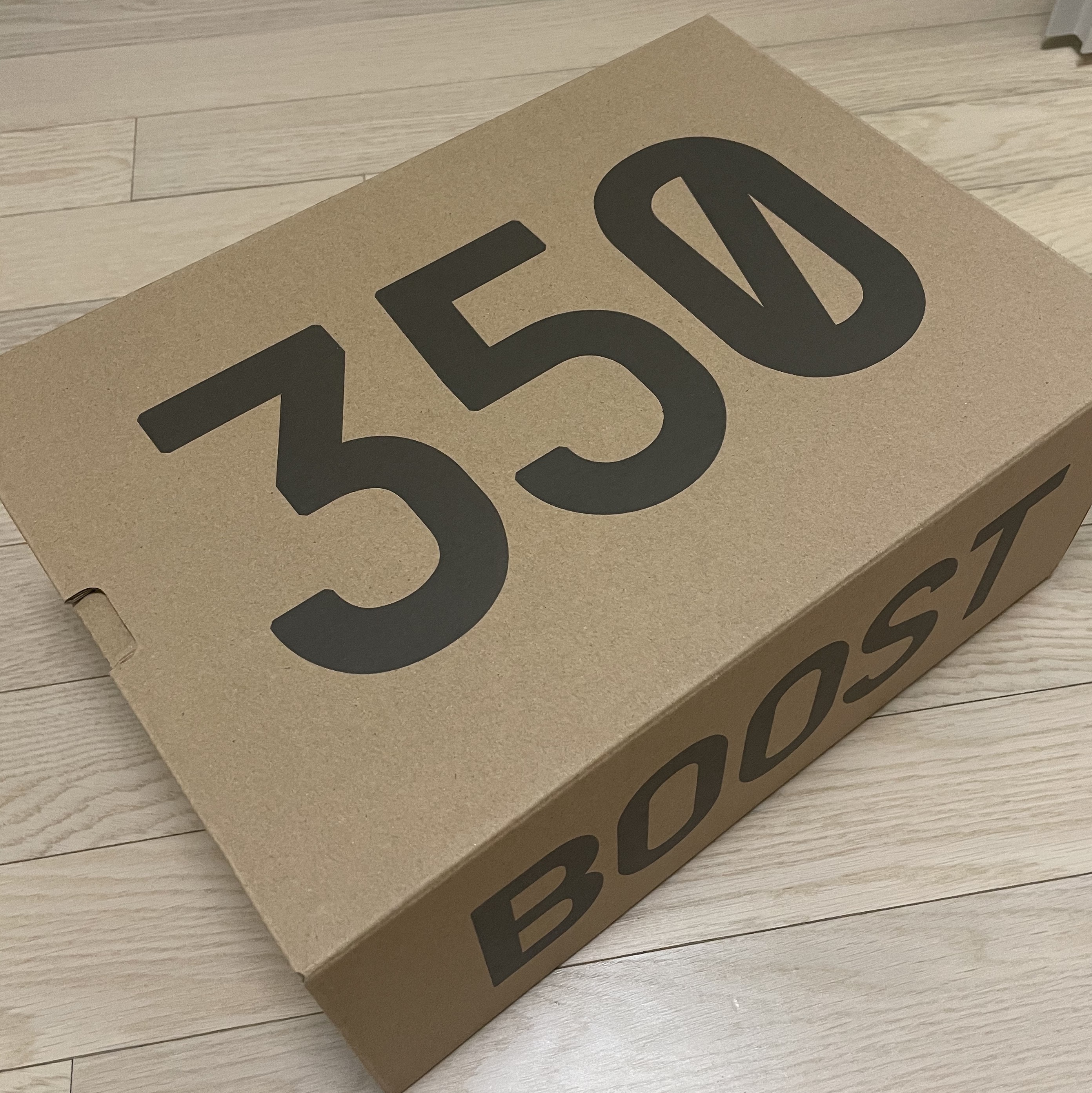 Adidas Yeezy Boost 350 V2 Ash Pearl 착용 스타일