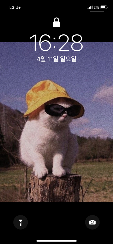 관심 유저 프로필 이미지