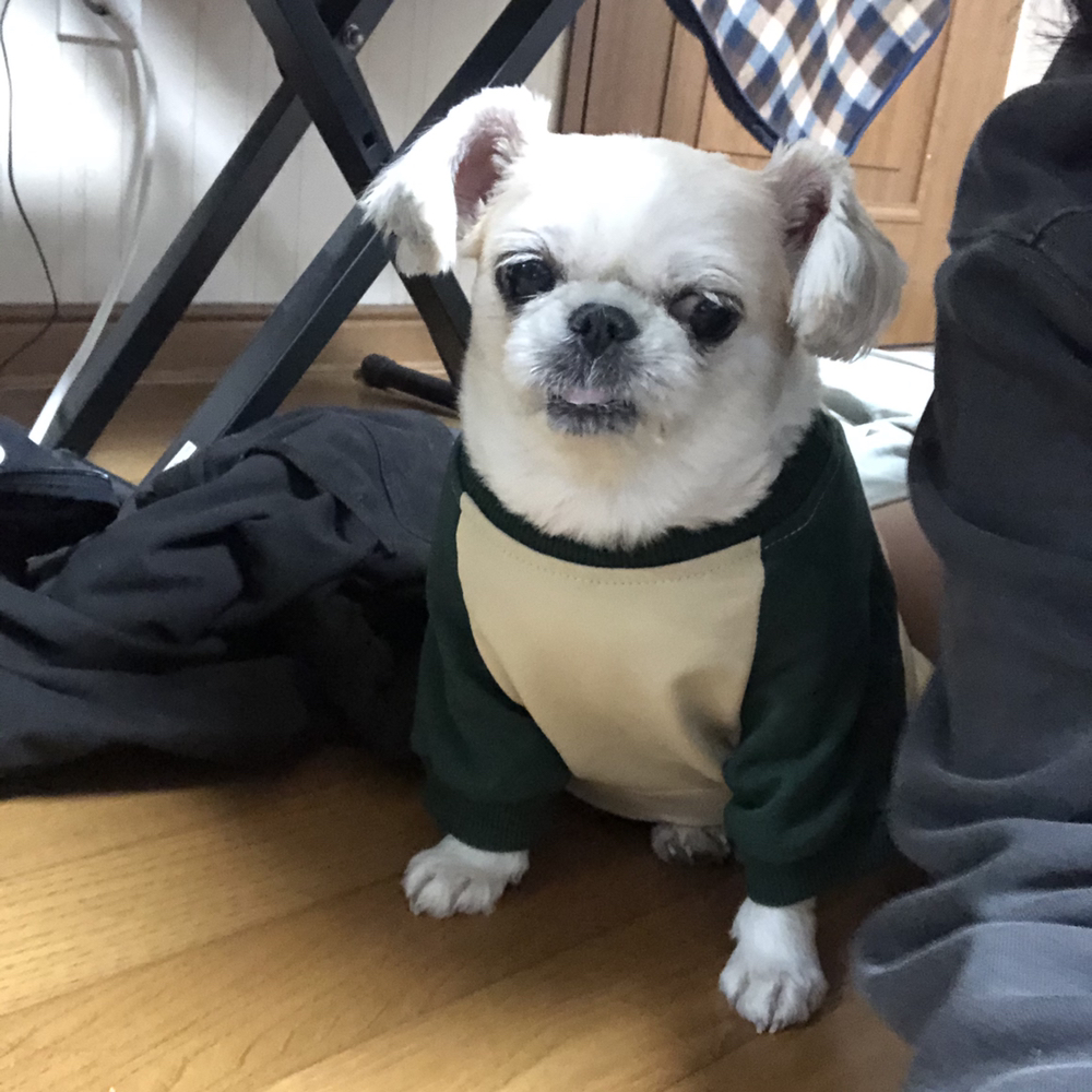 KREAM 프로필 이미지