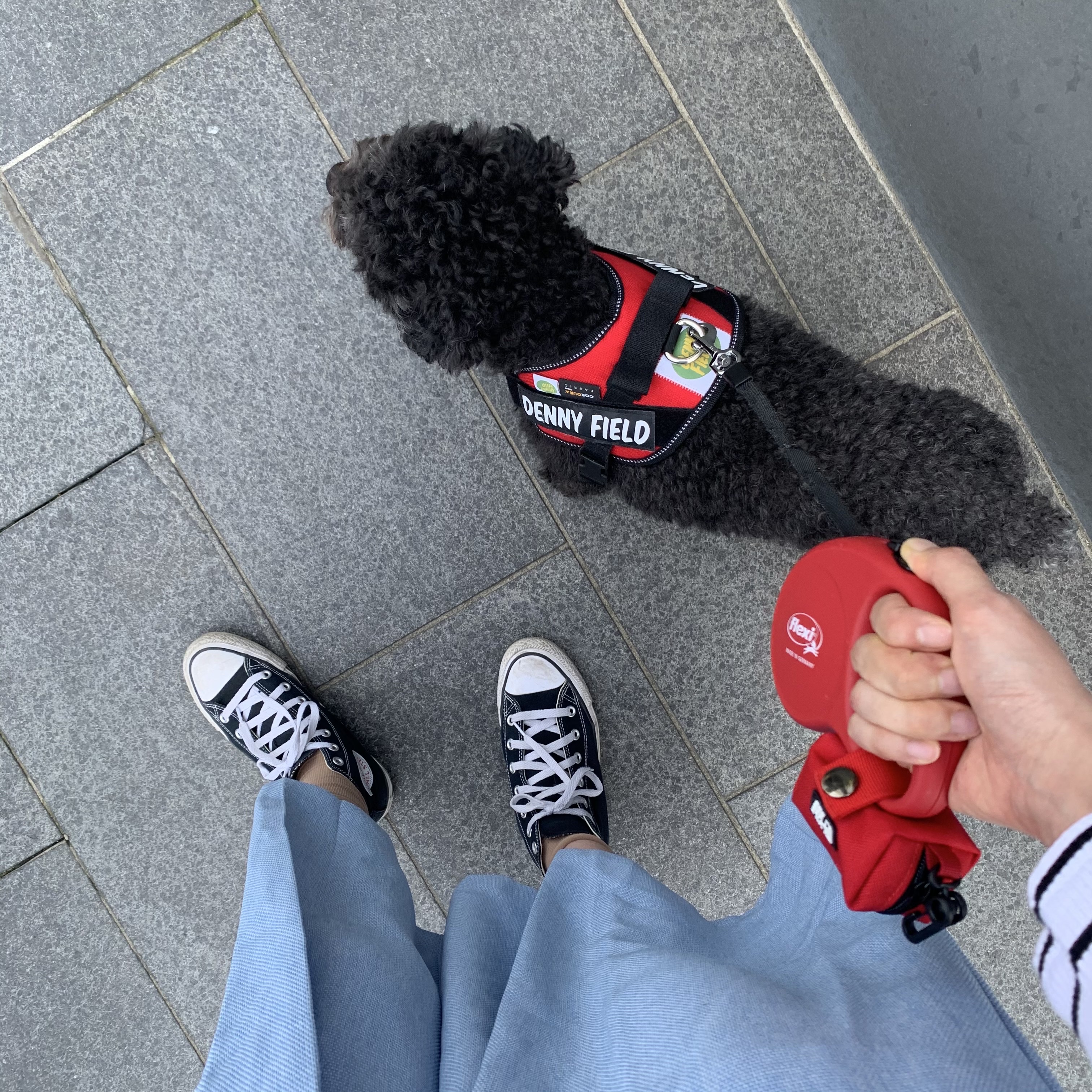 KREAM 스타일