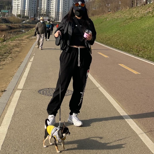 스타일 카드