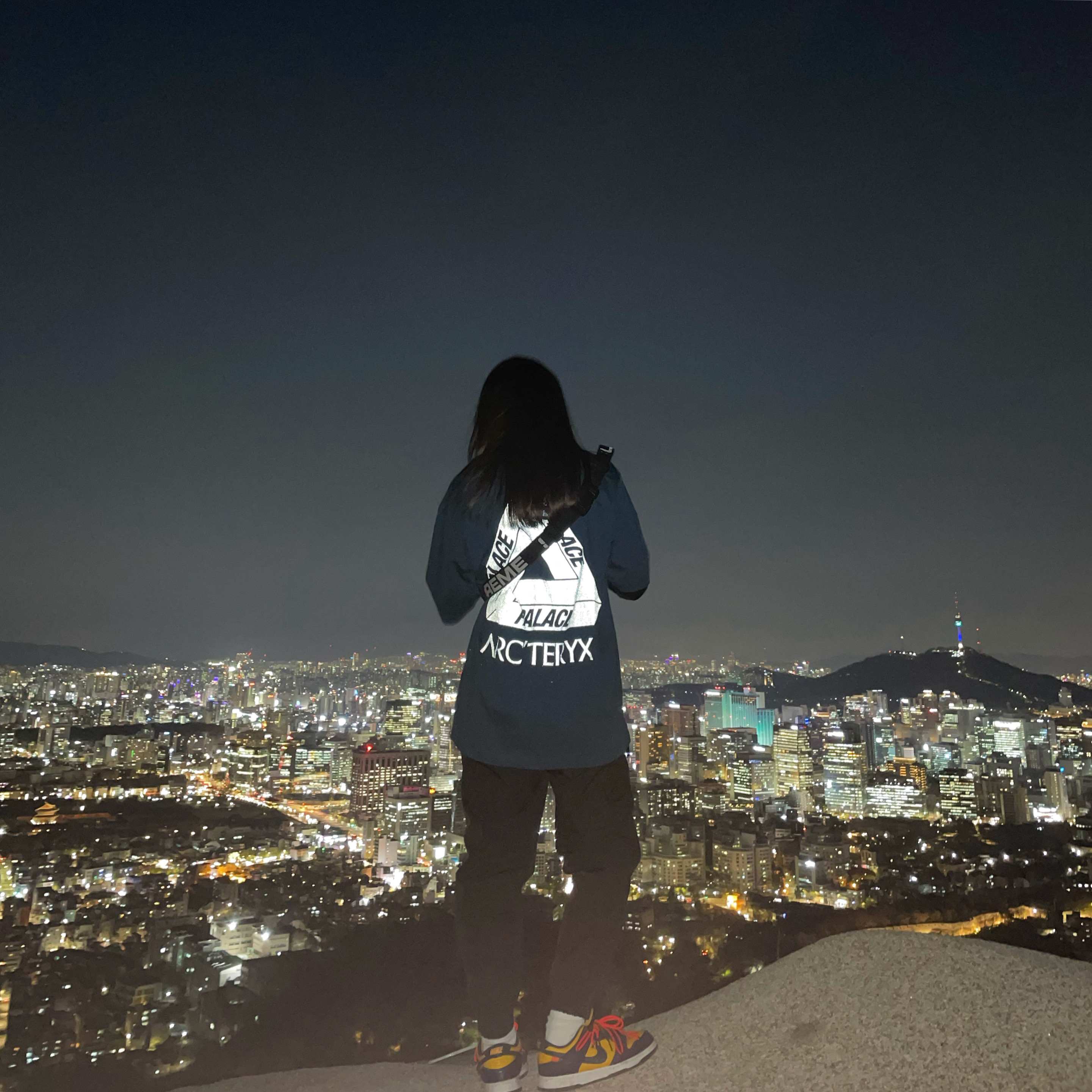 Palace x Arc'teryx T-Shirt Teal - 20FW, Nike x Off-White Dunk Low University Gold Midnight Navy 착용 스타일 - 2