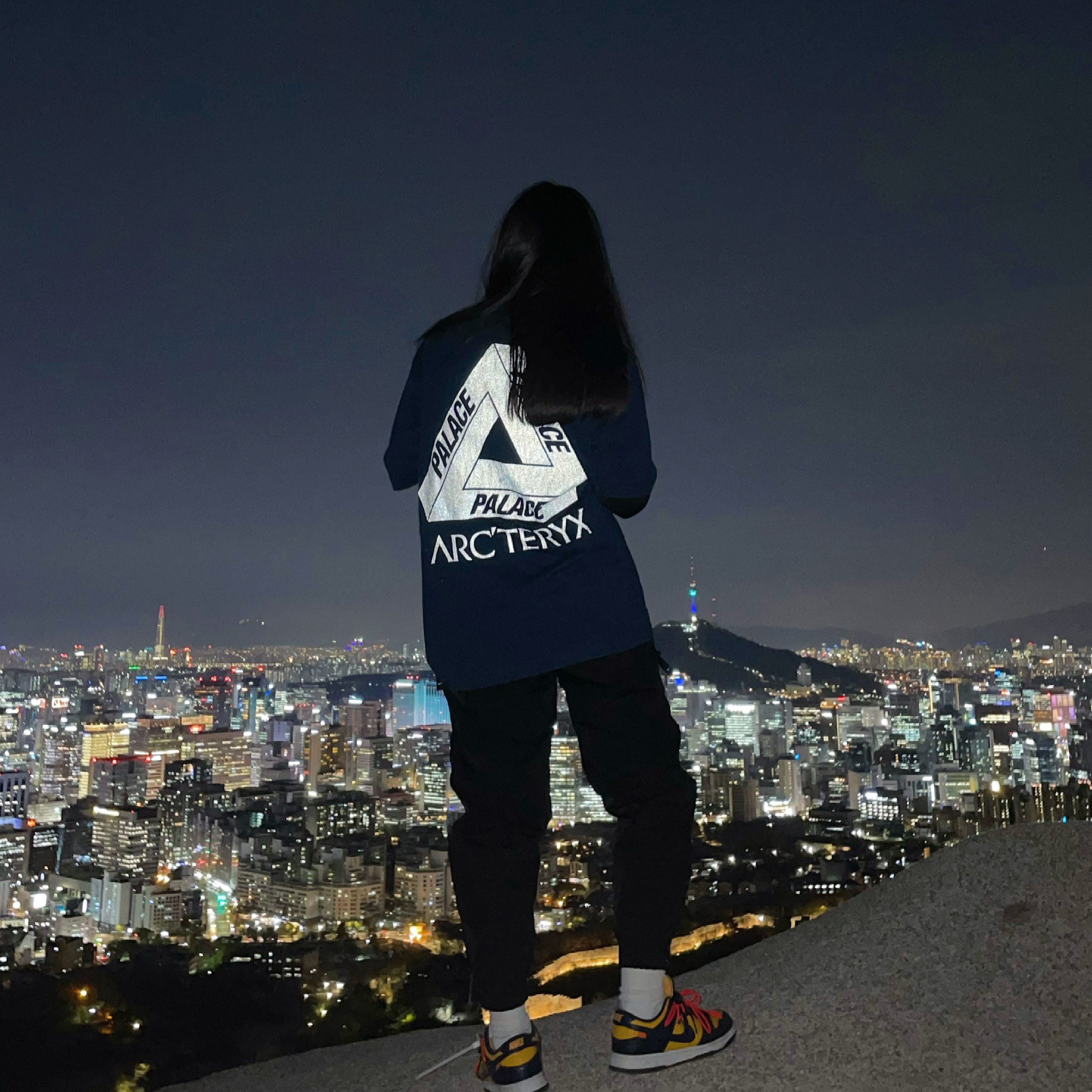 Palace x Arc'teryx T-Shirt Teal - 20FW, Nike x Off-White Dunk Low University Gold Midnight Navy 착용 스타일 - 1