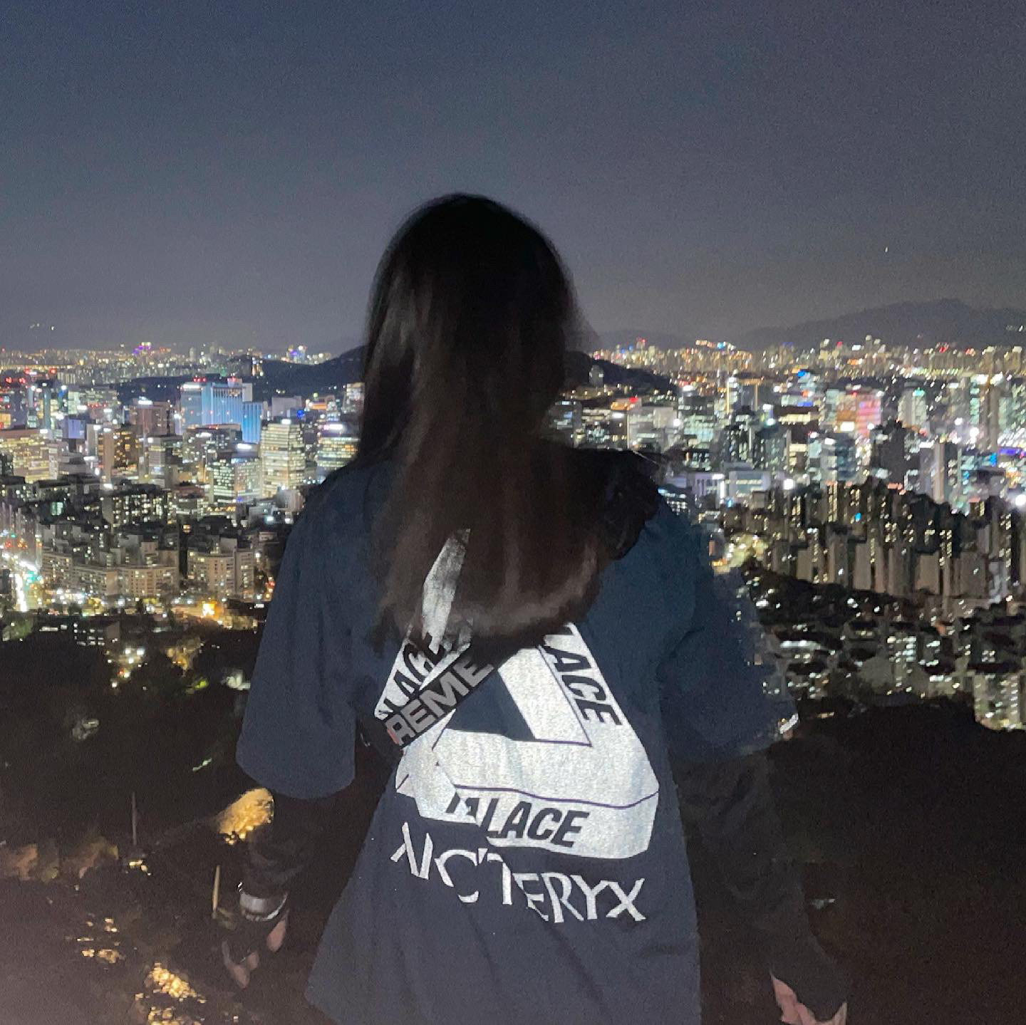 Palace x Arc'teryx T-Shirt Teal - 20FW 착용 스타일