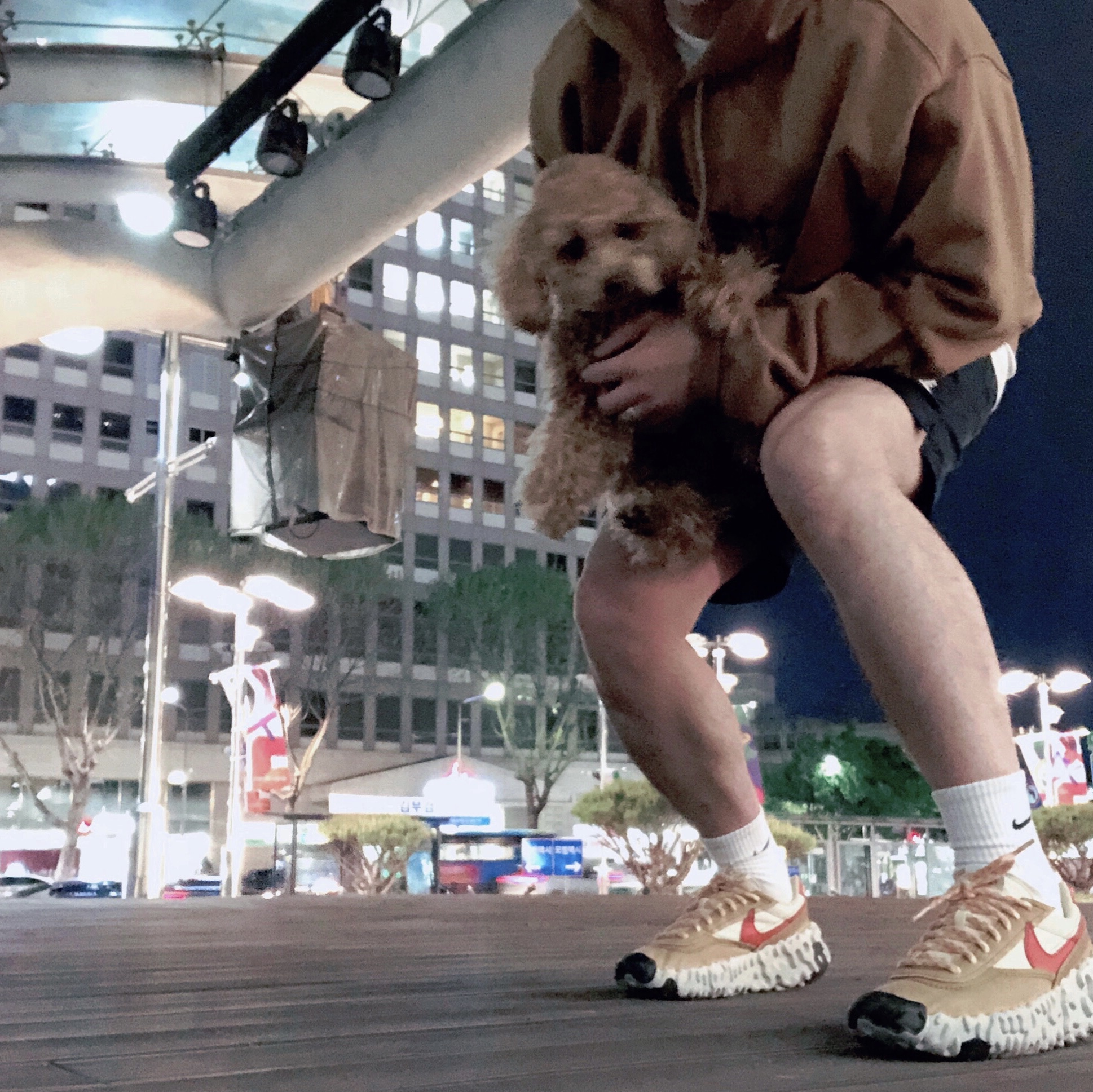 Nike Overbreak SP Fossil 착용 스타일 - 1