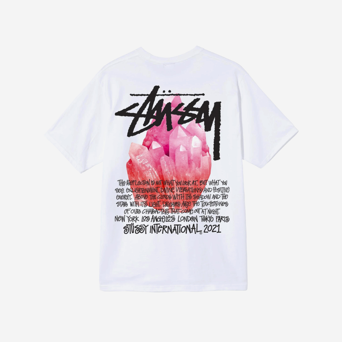 스투시 리플렉션 티셔츠 화이트 | Stussy | KREAM