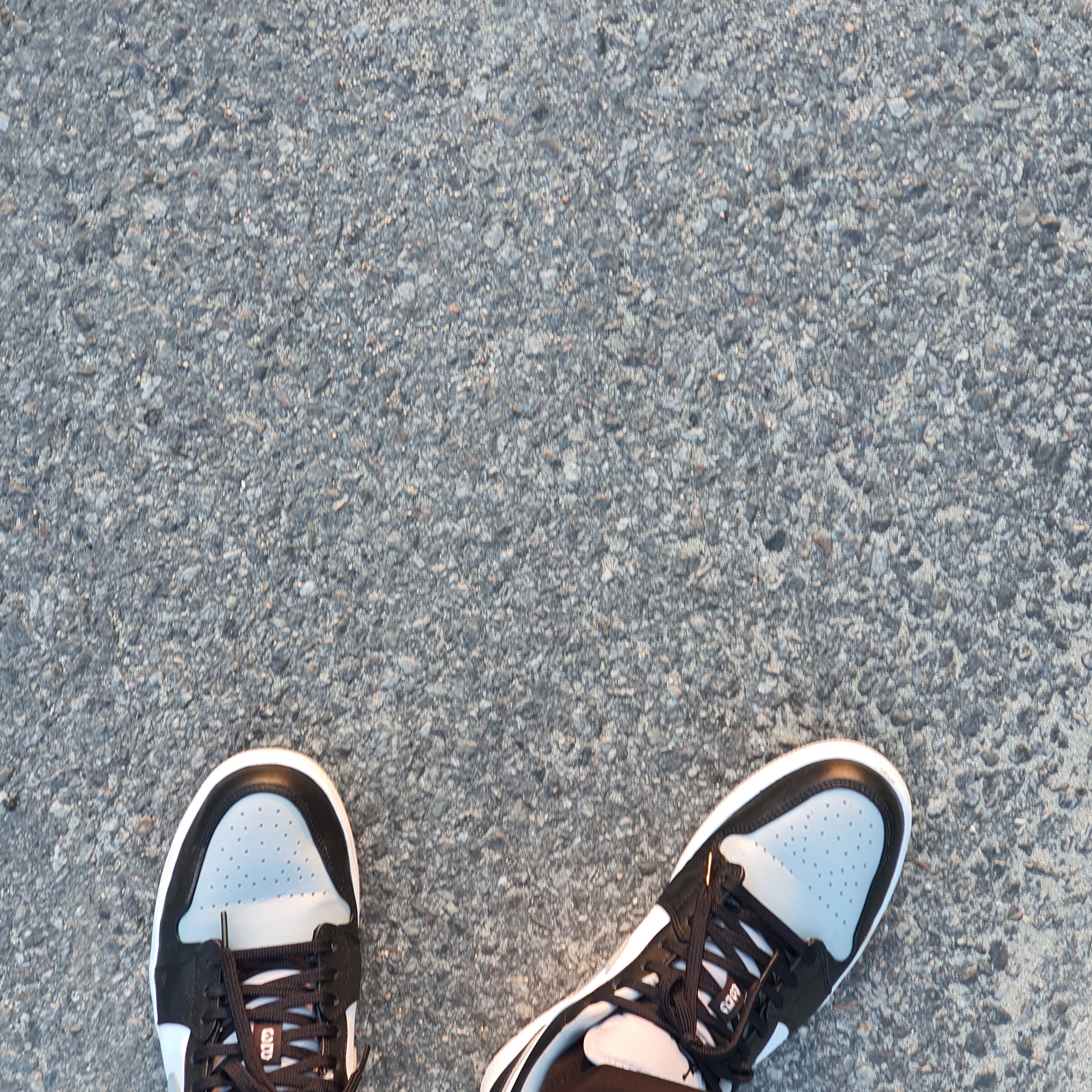 Jordan 1 Low Black Light Smoke Grey 착용 스타일