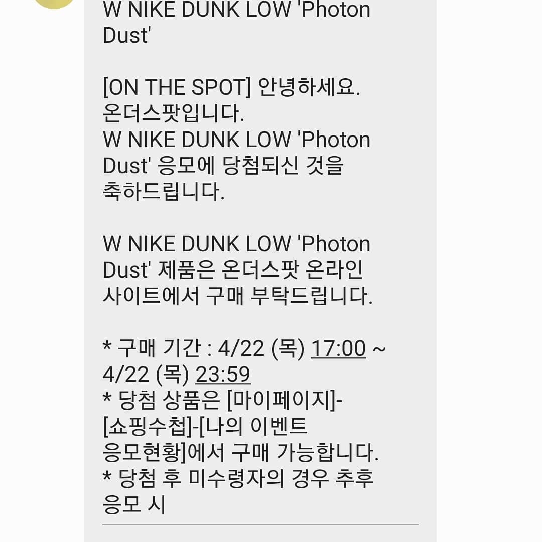 (W) Nike Dunk Low Photon Dust, Nike Dunk High Retro Vast Grey 착용 스타일 - 1