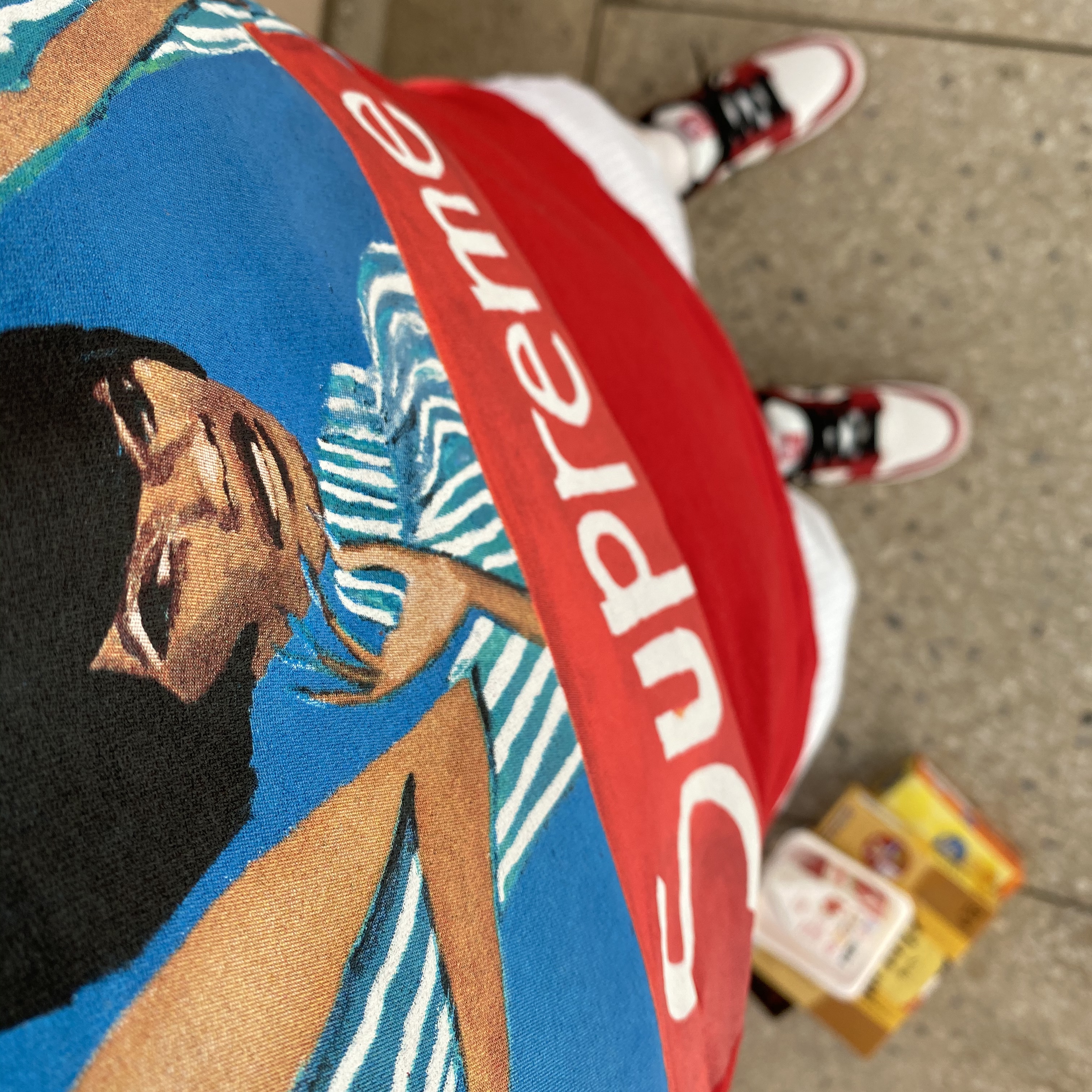 Nike SB Dunk Low Pro Chicago, Nike x Kim Jones Mesh Shorts White - Asia 착용 스타일