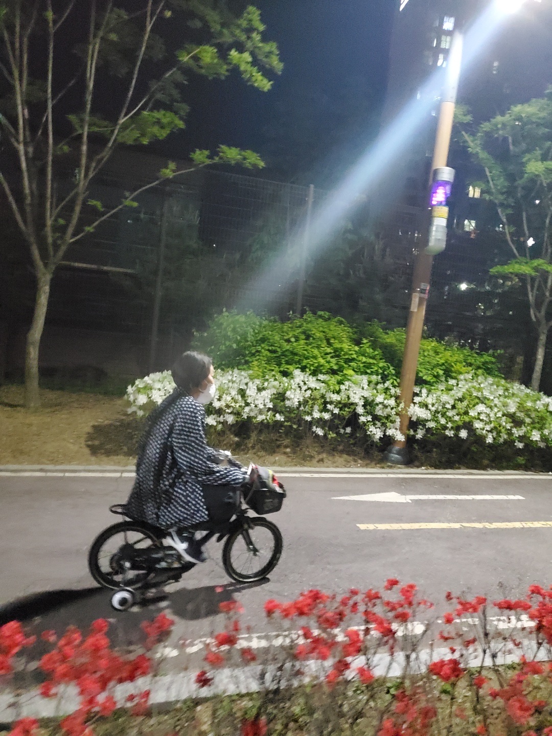세똥🗺님의 스타일 - 1