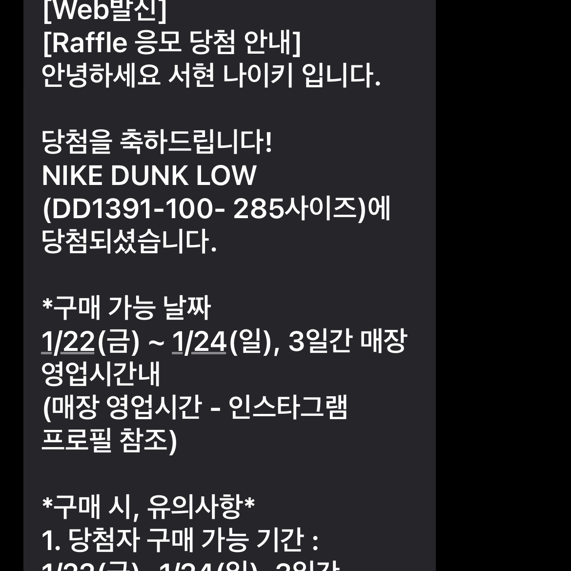 Nike Dunk Low Retro Black 착용 스타일 - 2