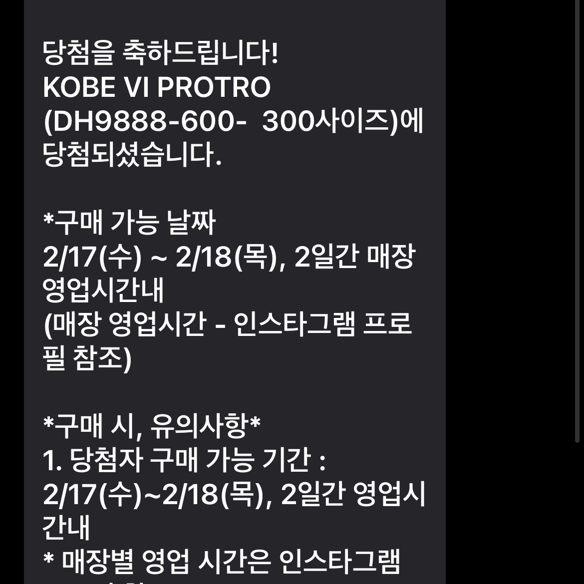 Nike Kobe 6 Protro All-Star 착용 스타일 - 1