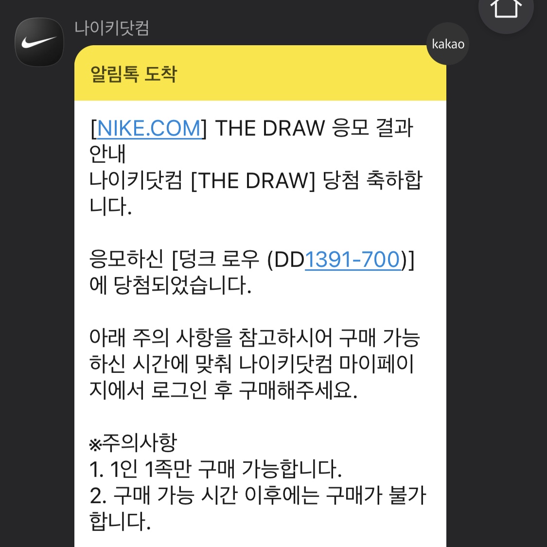 Nike Dunk Low Retro Varsity Maize 착용 스타일