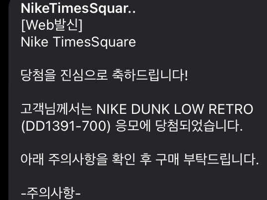 Nike Dunk Low Retro Varsity Maize 착용 스타일