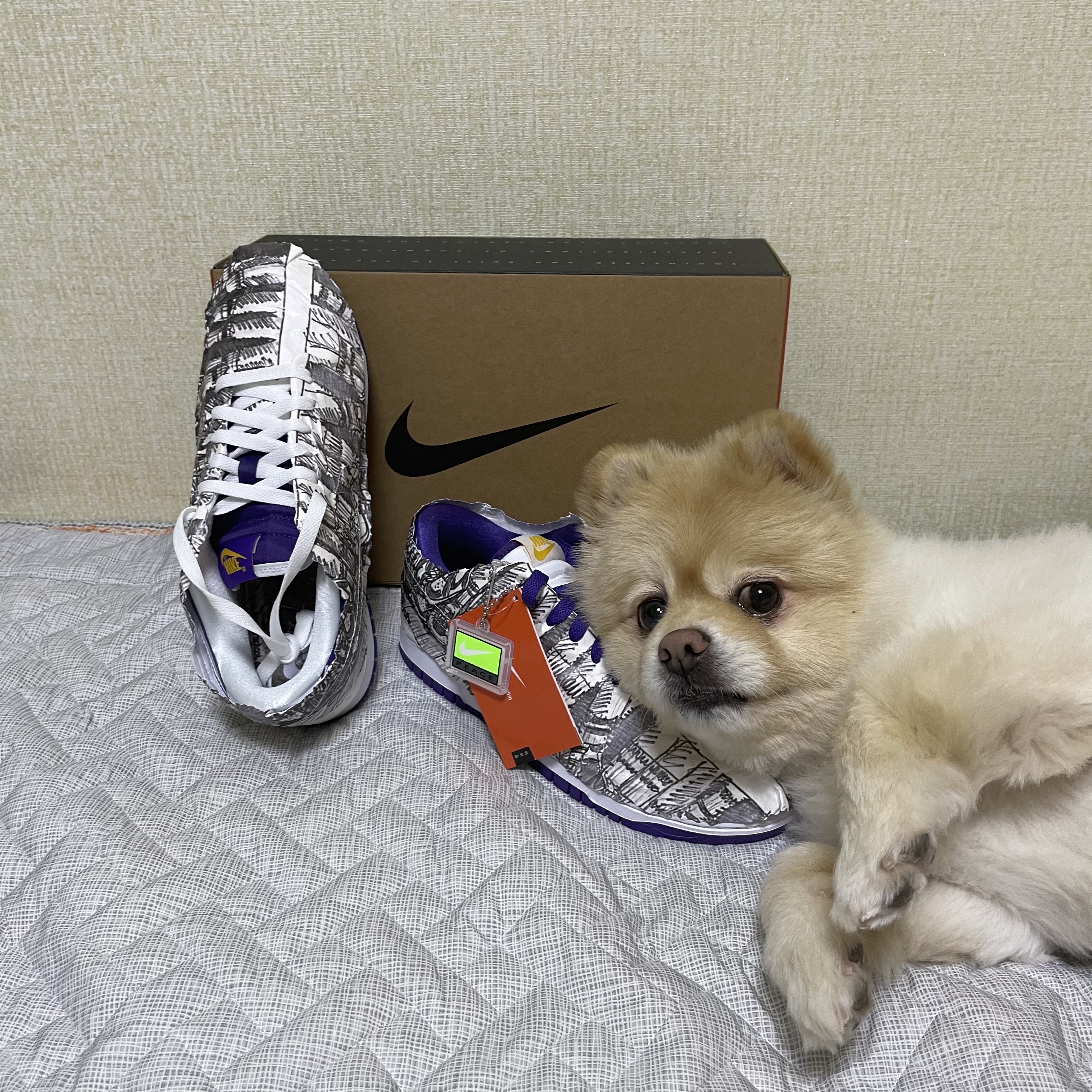 (W) Nike Dunk Low SE Flip 착용 스타일