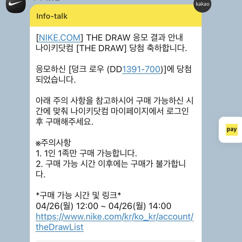 Nike Dunk Low Retro Varsity Maize 착용 스타일