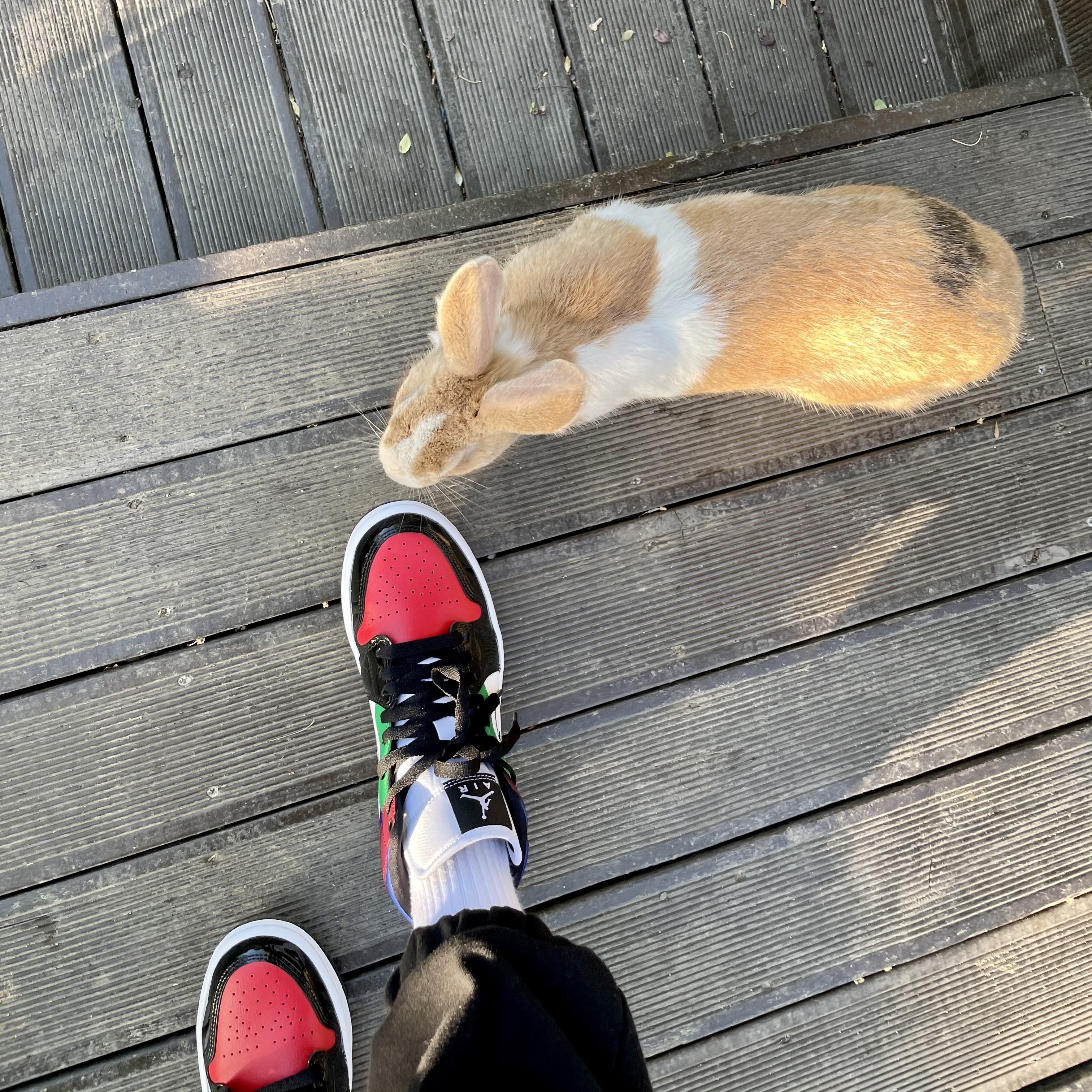 (W) Jordan 1 Mid SE Multi-Color 착용 스타일 - 2