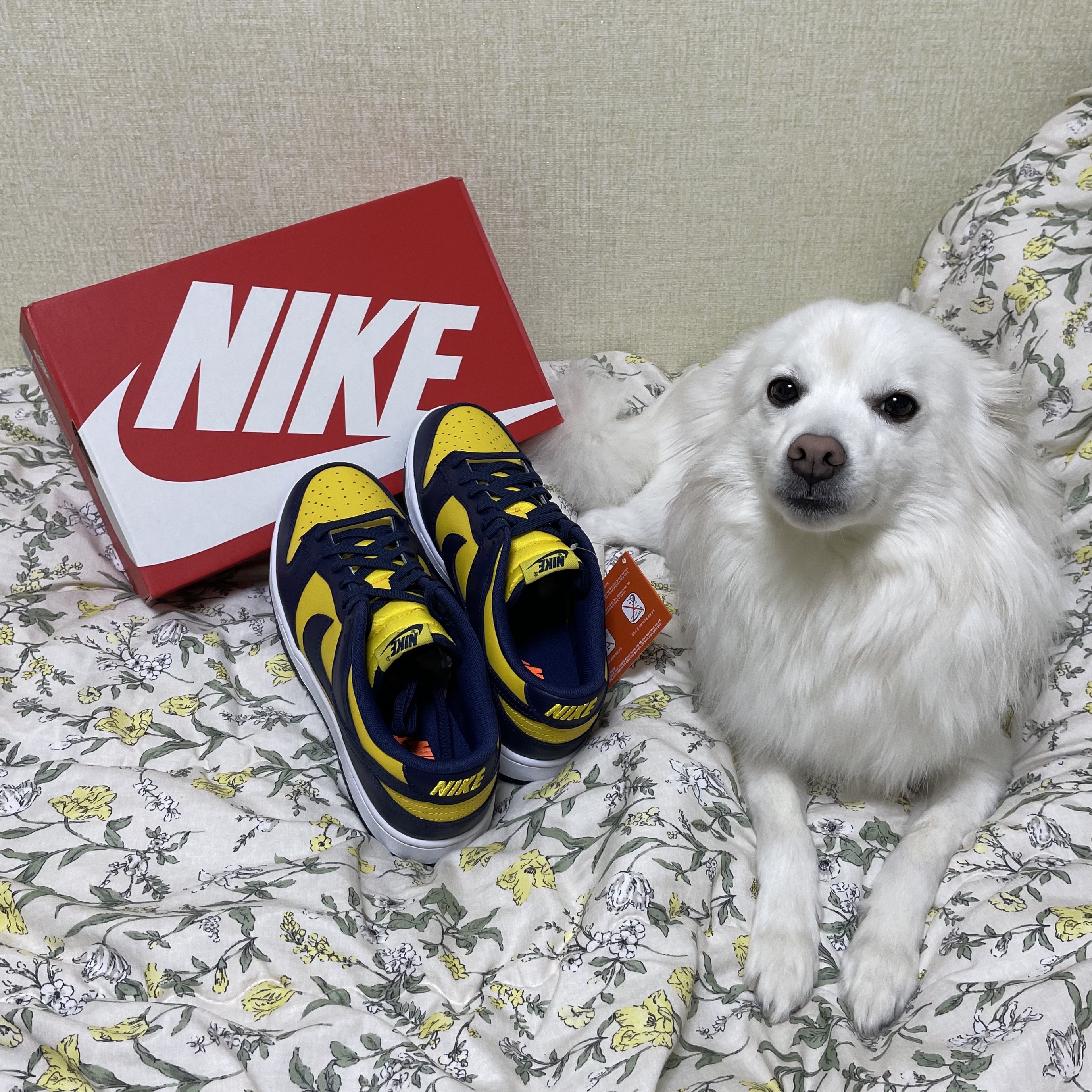 Nike Dunk Low Retro Varsity Maize 착용 스타일 - 1