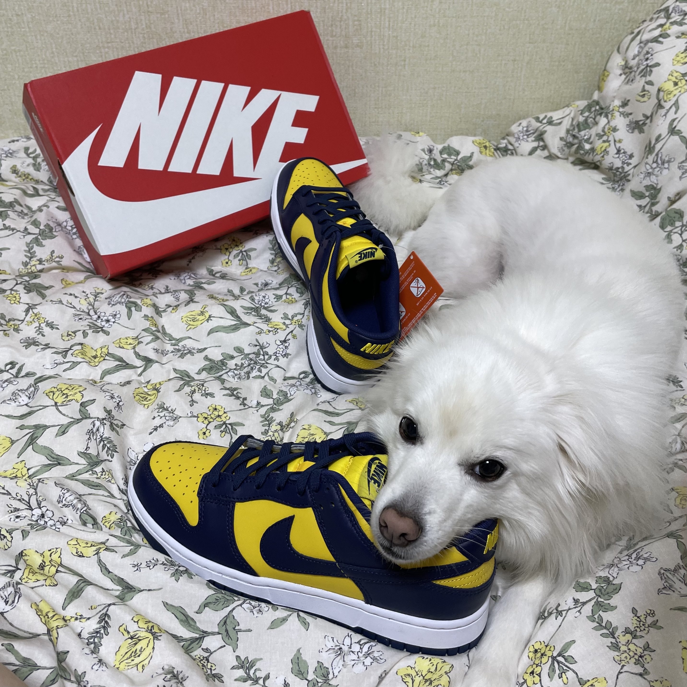 Nike Dunk Low Retro Varsity Maize 착용 스타일 - 2