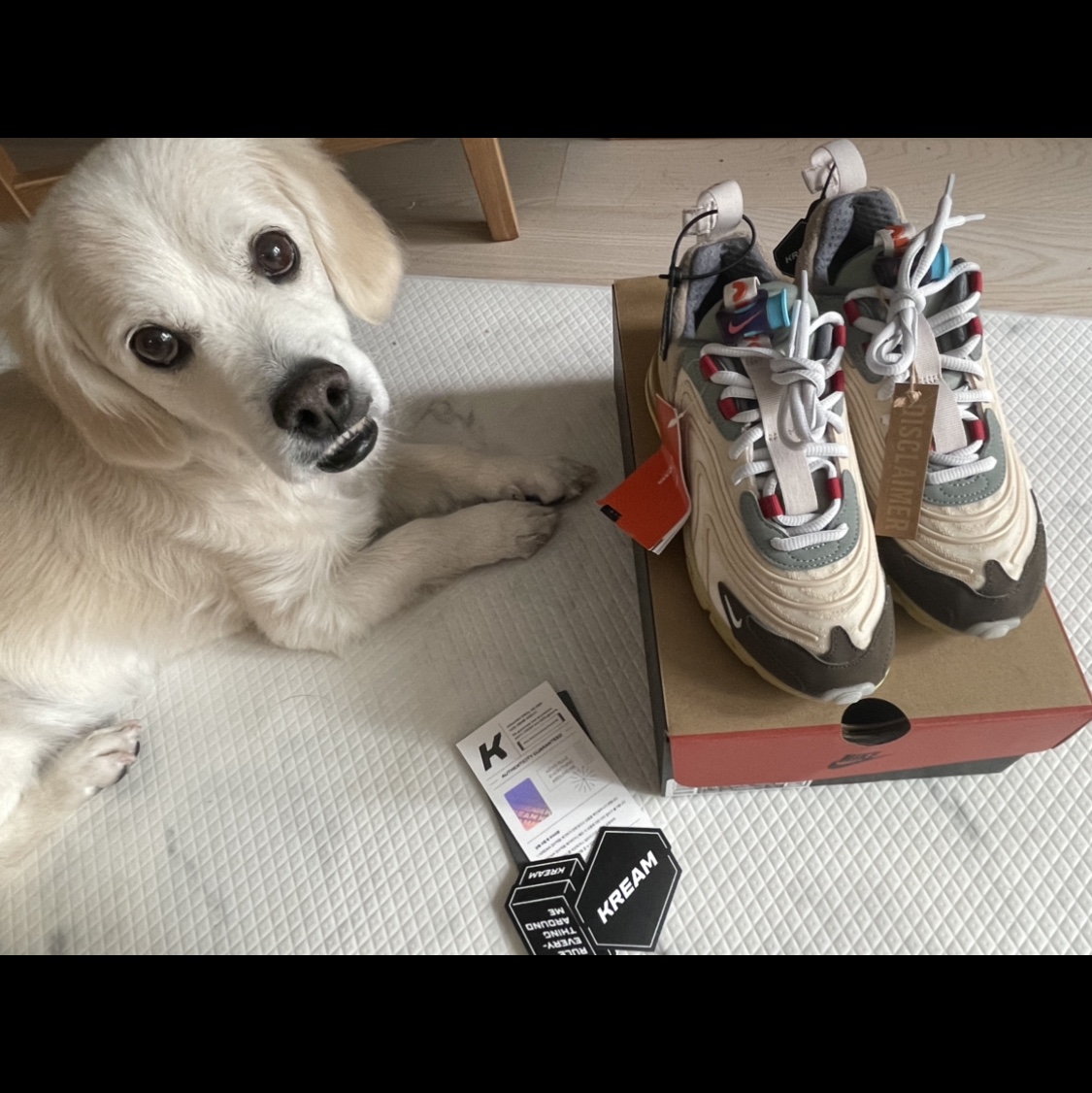 Nike x Travis Scott Air Max 270 React Cactus Trails 착용 스타일