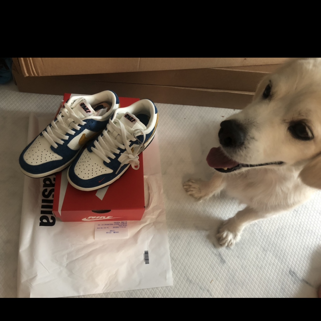 Nike x Kasina Dunk Low 80's Bus 착용 스타일