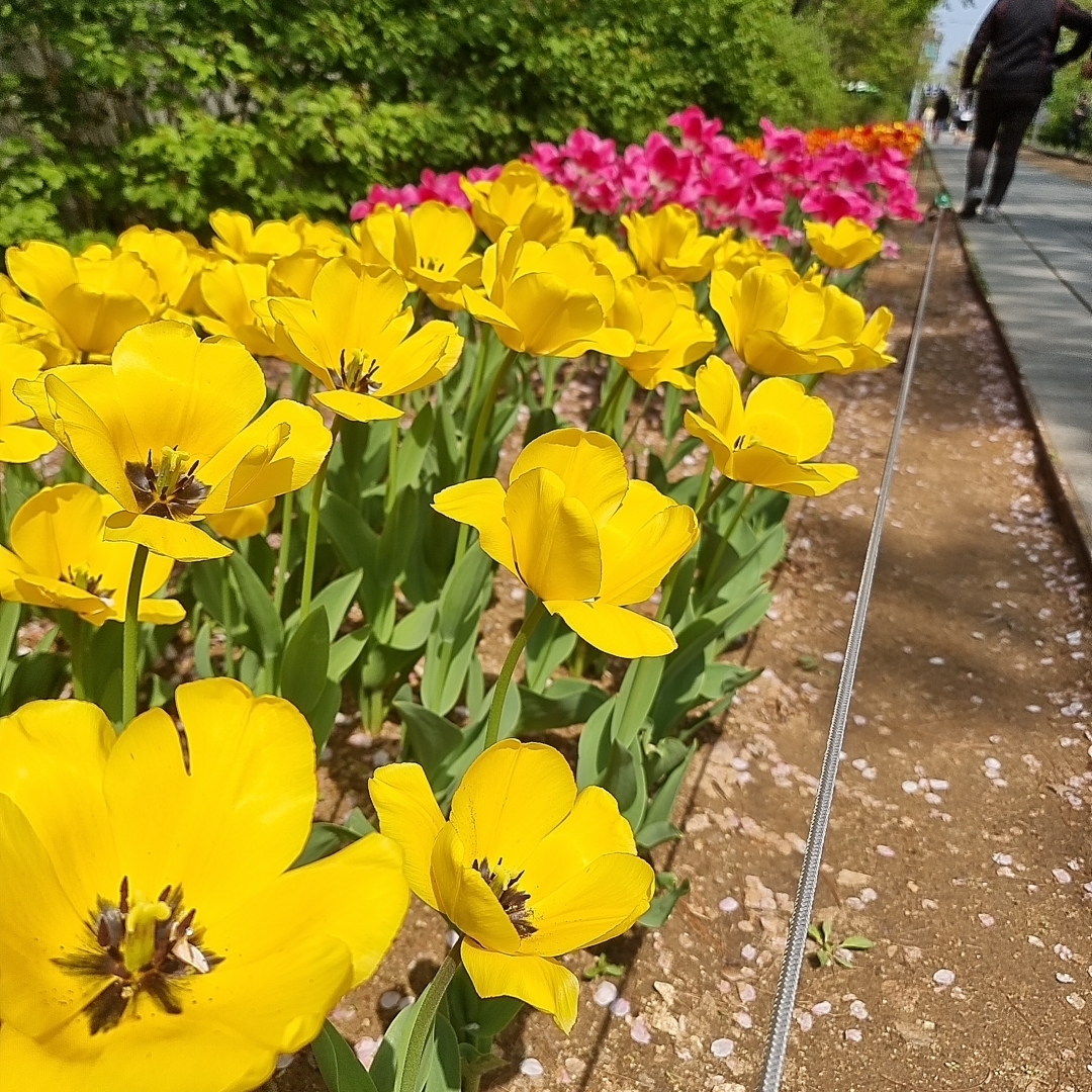 optimd님의 스타일
