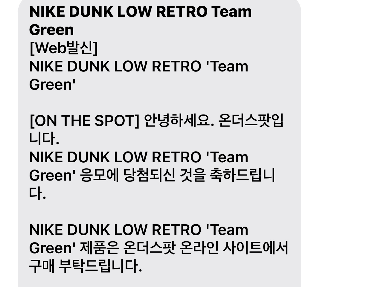 Nike Dunk Low Retro Varsity Green 착용 스타일