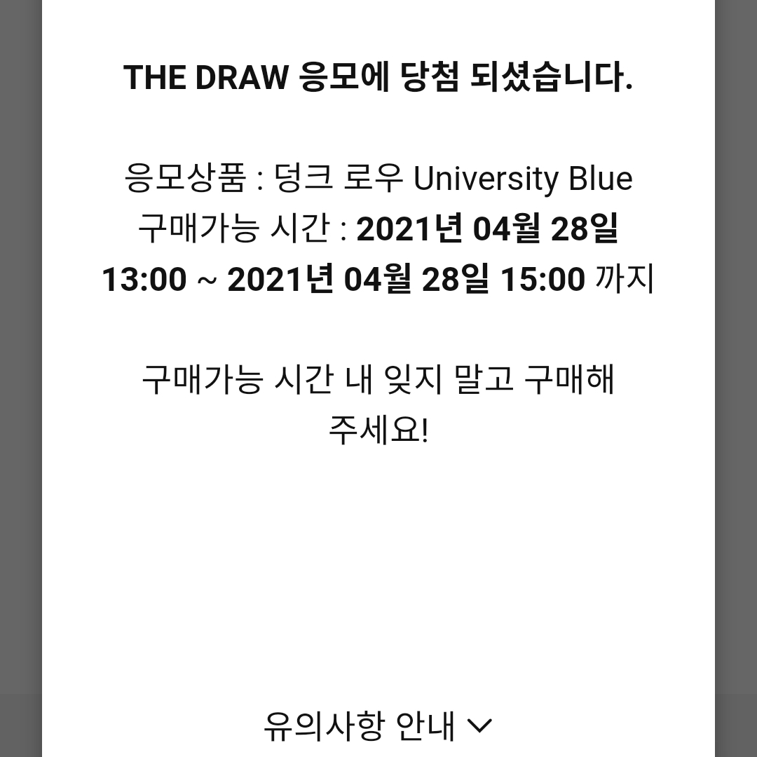 Nike Dunk Low Retro University Blue 착용 스타일