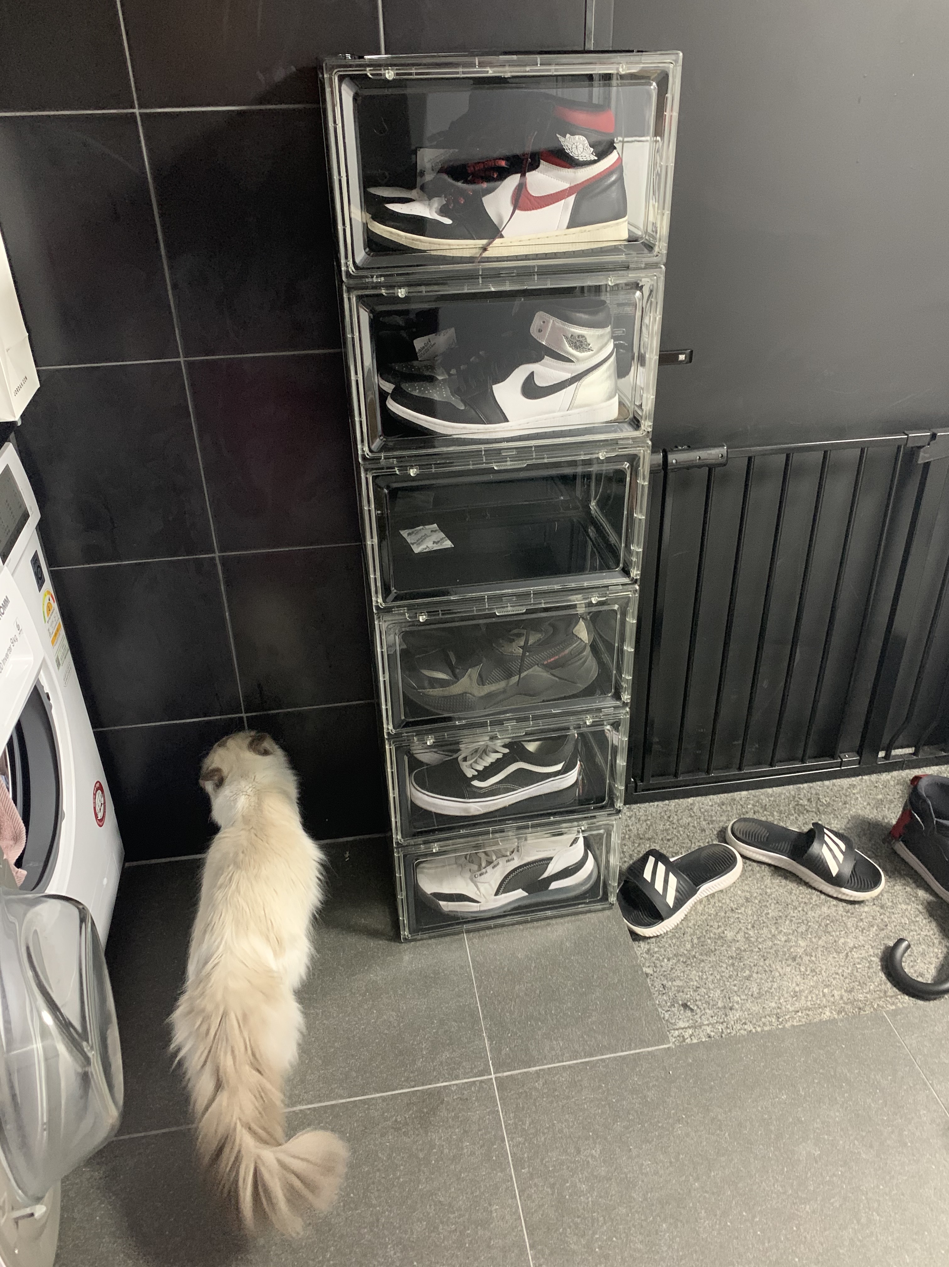 Jordan 1 Retro High OG Gym Red, (W) Jordan 1 Retro High OG Silver Toe 착용 스타일 - 1