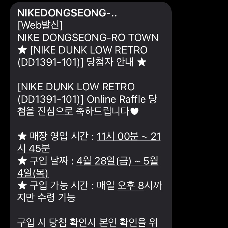 Nike Dunk Low Retro Varsity Green 착용 스타일
