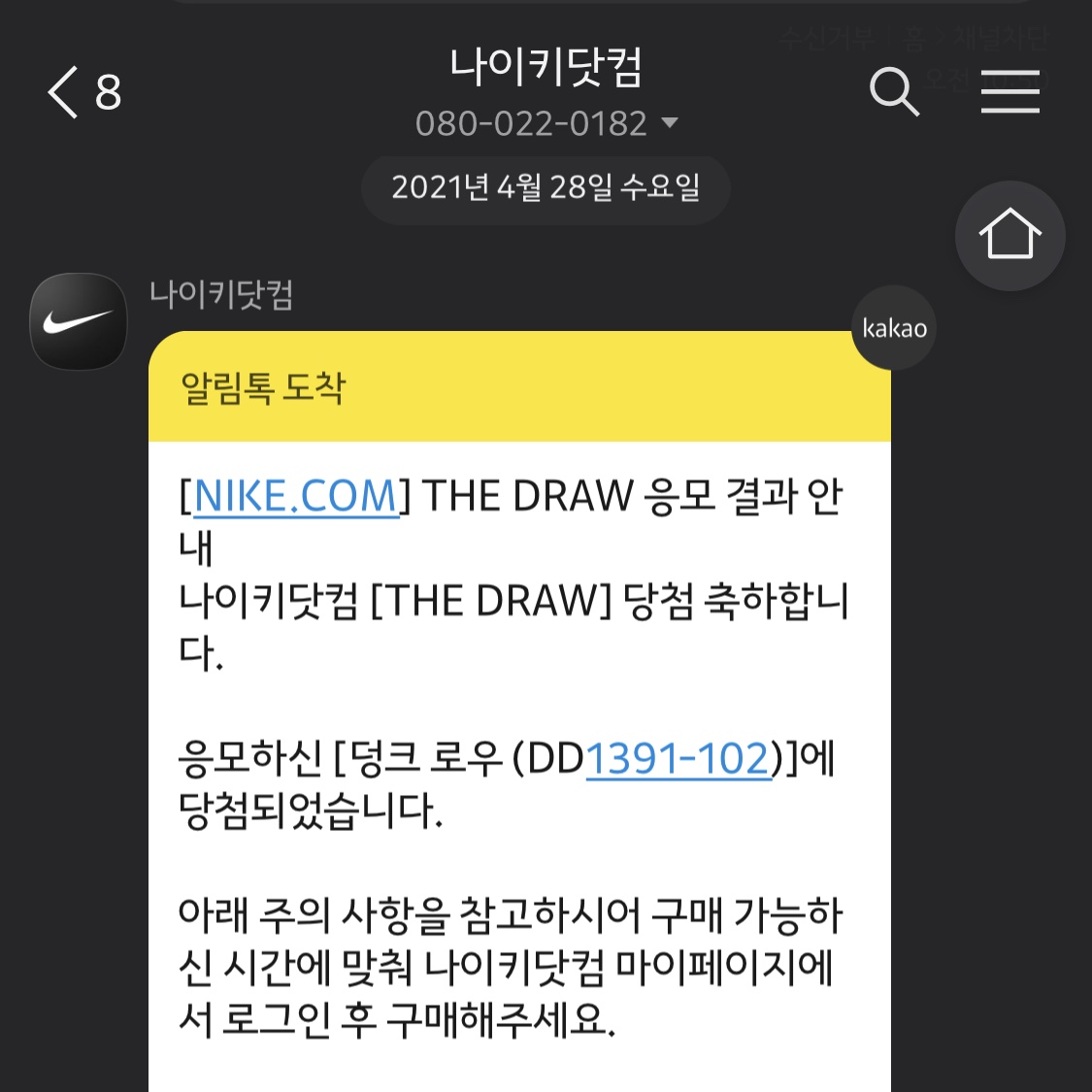 Nike Dunk Low Retro University Blue 착용 스타일
