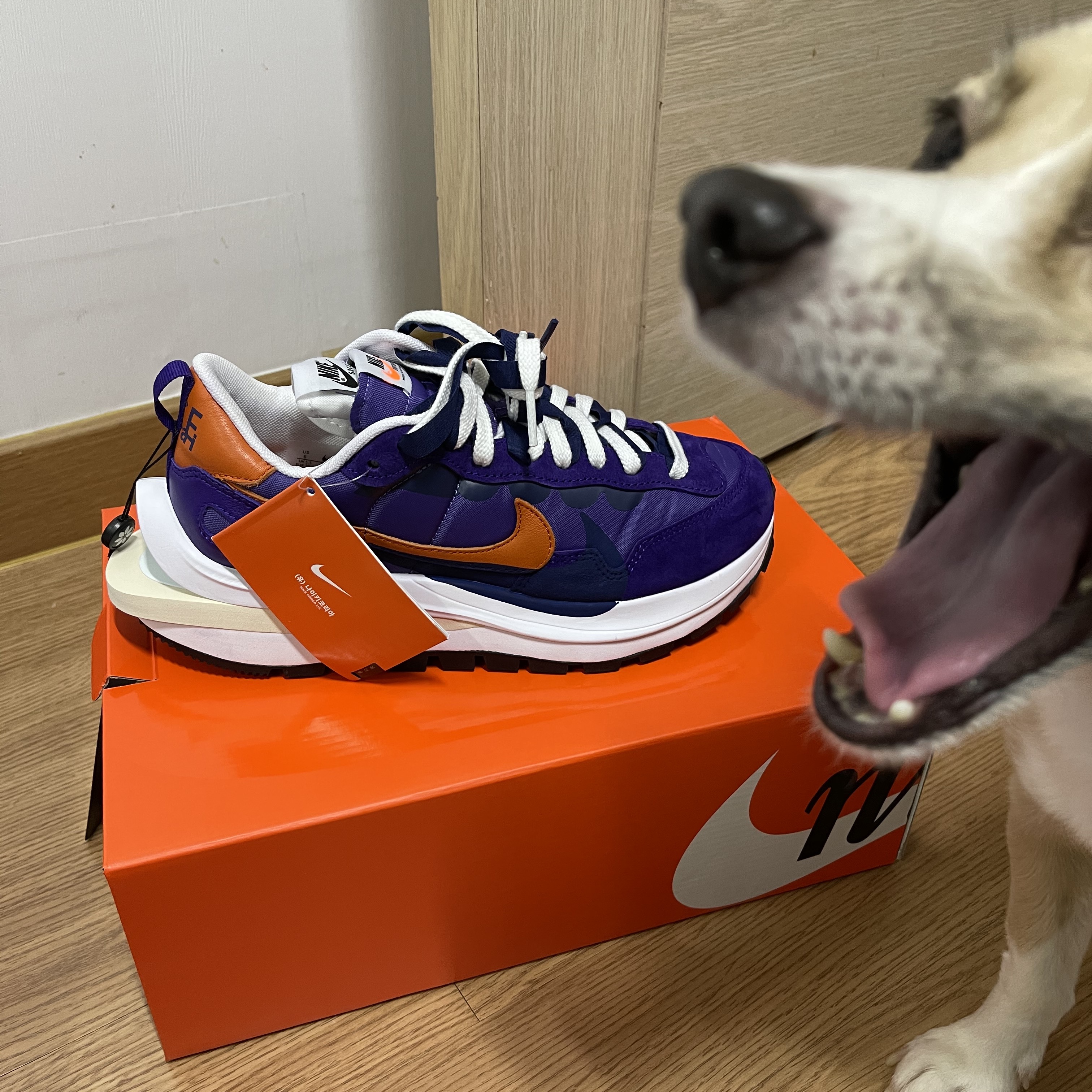Nike x Sacai VaporWaffle Dark Iris 착용 스타일