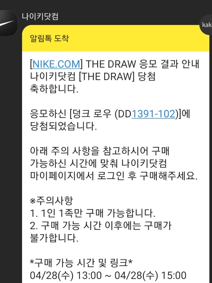 Nike Dunk Low Retro University Blue 착용 스타일