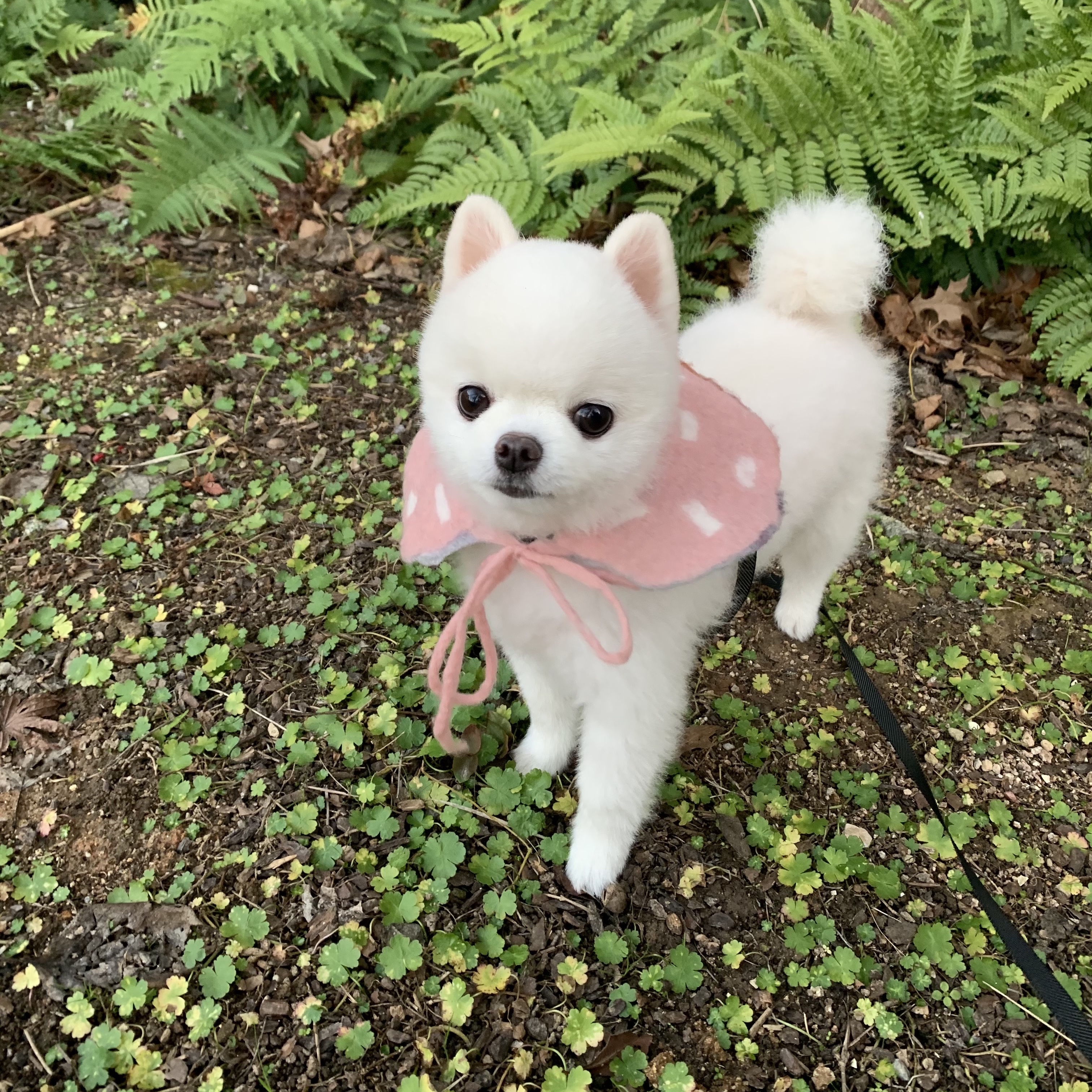 508_Jinee님의 스타일 - 1