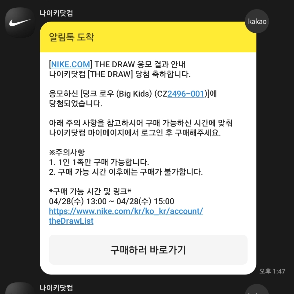 (GS) Nike Dunk Low SE Free.99 Black 착용 스타일