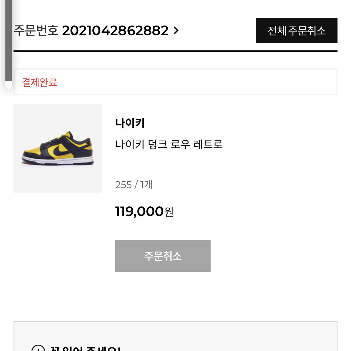Nike Dunk Low Retro Varsity Maize 착용 스타일